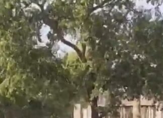 बीयू में परीक्षार्थियों से सुरक्षा गार्ड्स द्वारा दुर्व्यवहार व मारपीट से हंगामा