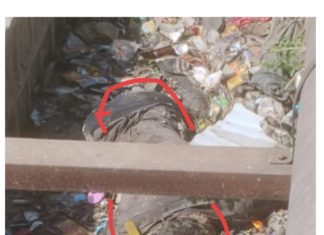 आखिर नाले में सड़ रही लाश किसकी है ?