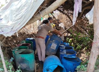 आबकारी अभियान में 335 लीटर कच्ची शराब बरामद