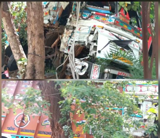 रेलवे माल गोदाम के पास लड़की को बचाने में ट्रक गड्ढे में घुसा, पेड़ से टकराया—चालक गंभीर