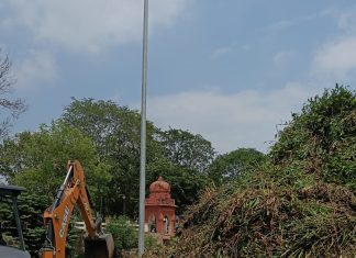 ननि नहीं उठवा रहा जलकुंभी का पहाड़, लक्ष्मी तालाब से जलकुंभी निकालने का काम एक सप्ताह से ठप्प