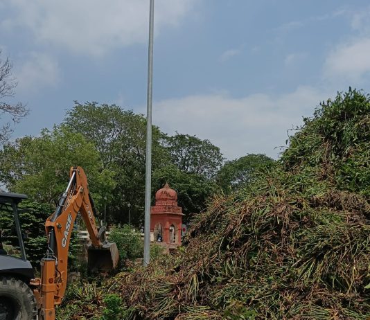 ननि नहीं उठवा रहा जलकुंभी का पहाड़, लक्ष्मी तालाब से जलकुंभी निकालने का काम एक सप्ताह से ठप्प