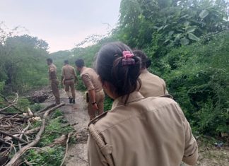 आबकारी विभाग की ताबड़तोड़ कार्यवाही, 220 लीटर अवैध शराब बरामद