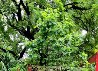 काॅ जाॅन बैंजामन को भावपूर्ण श्रद्वांजली अर्पित