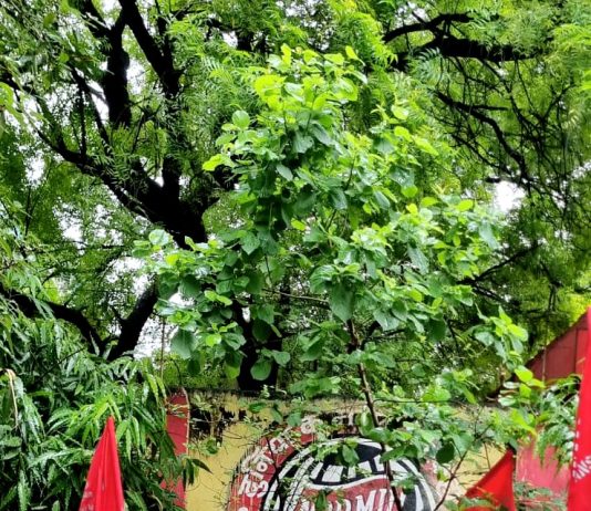 काॅ जाॅन बैंजामन को भावपूर्ण श्रद्वांजली अर्पित