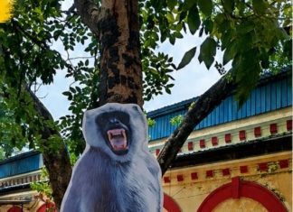 रेलवे वर्कशॉप में बंदरों को भगाने लंगूरों की तस्वीर!