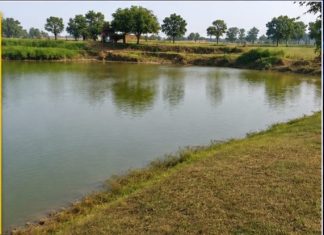 मछली के शिकार के दौरान नदी में पैर फिसलने से शिकारी की डूब कर मौत