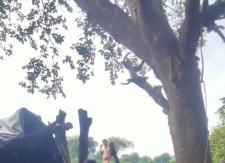 आबकारी की ताबड़तोड़ कार्रवाई, 380 लीटर कच्ची शराब बरामद