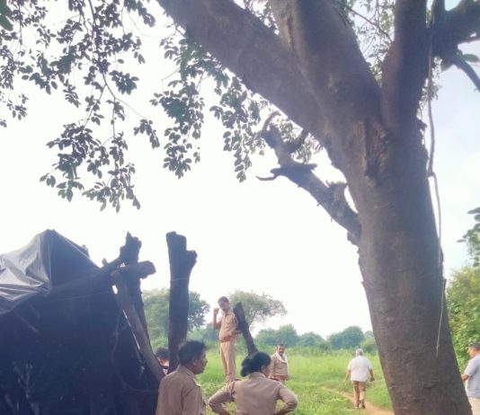 आबकारी की ताबड़तोड़ कार्रवाई, 380 लीटर कच्ची शराब बरामद