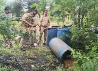437 लीटर अवैध शराब बरामद, 6100 किग्रा लहन मौके पर नष्ट