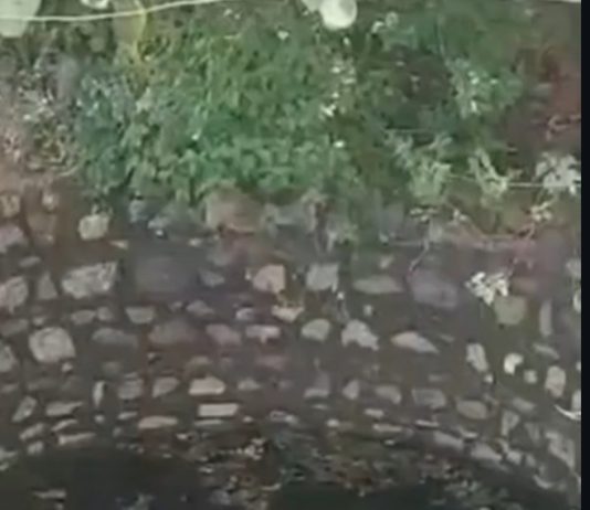 लापता बीएससी की छात्रा का शव कुएं में उतराता मिला