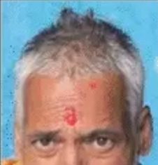 कहां थी पुलिस, हाईवे पर मानव देह को 3 दिनों तक रौंदते रहे वाहन