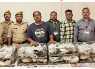 ट्रेन के जनरल कोच में 140 कबूतर गुटर गूं करते पकड़े !