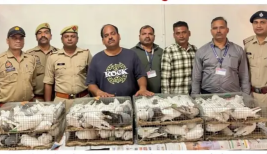 ट्रेन के जनरल कोच में 140 कबूतर गुटर गूं करते पकड़े !