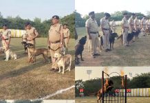 17 जोनों के 73 श्वानों ने दिखाए अद्भुत करतब