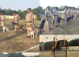 17 जोनों के 73 श्वानों ने दिखाए अद्भुत करतब