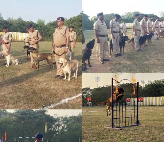 17 जोनों के 73 श्वानों ने दिखाए अद्भुत करतब